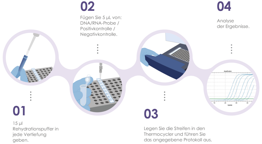 PCR VIASURE bestbion dx Ihre Experten für Labordiagnostik
