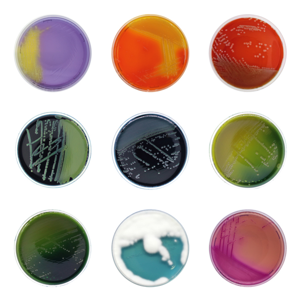 Mikrobiologie, Produkte